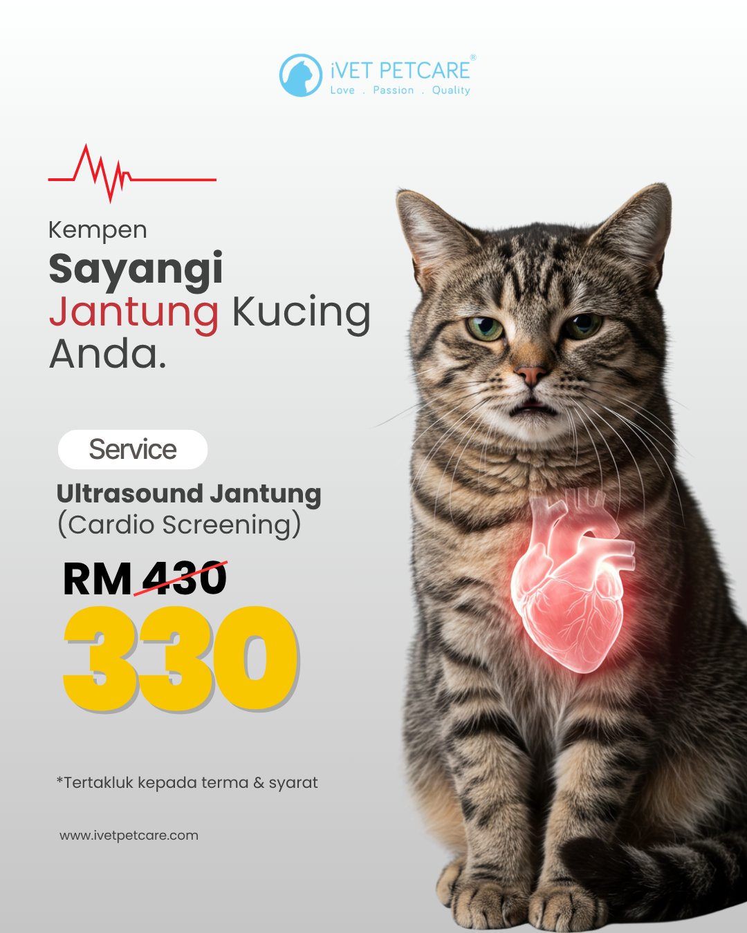 _Infographic iVET (1)